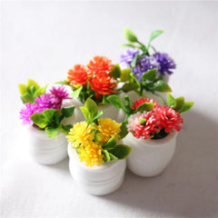 img_2708188