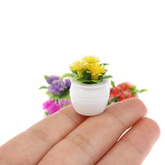 img_2975788