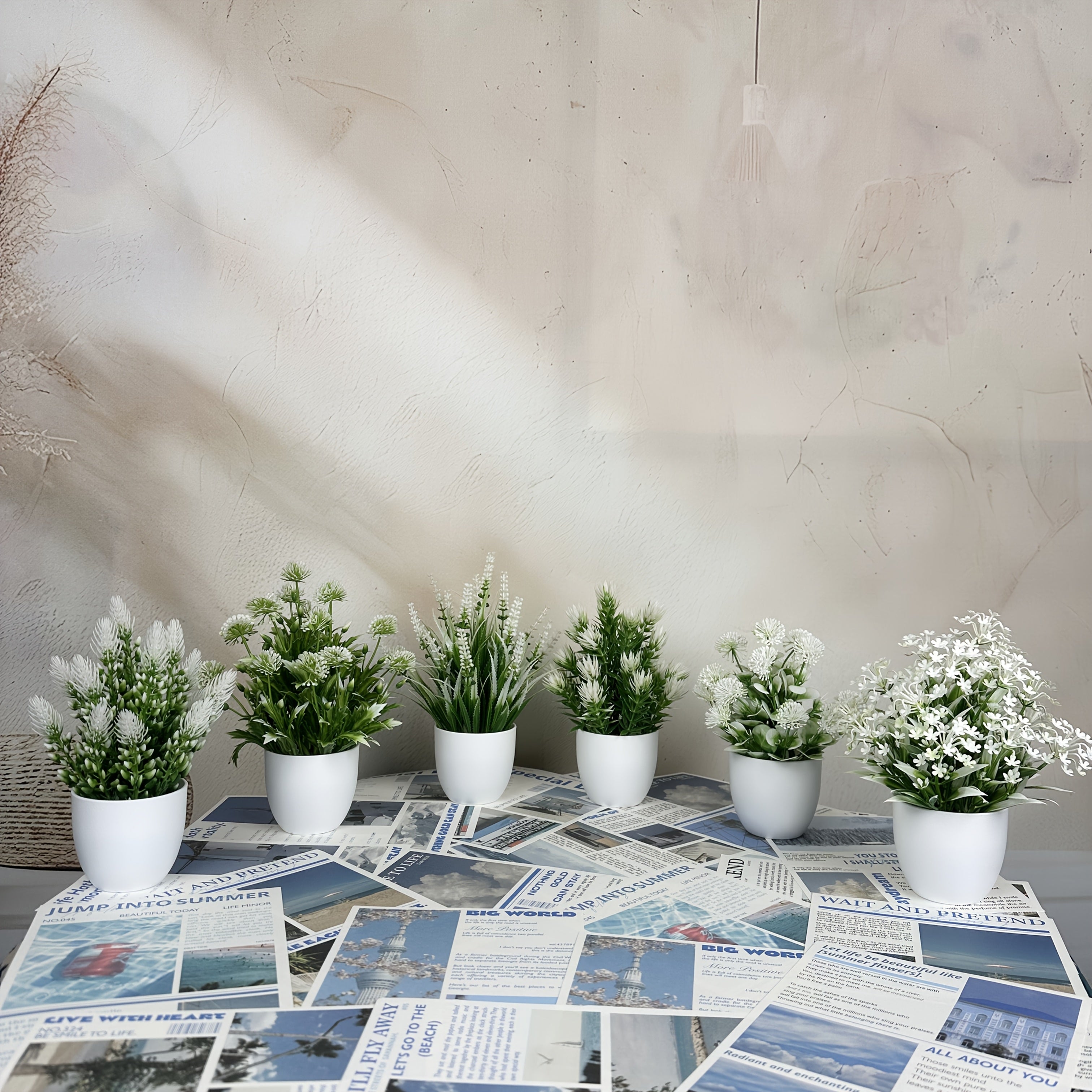 img_5515503