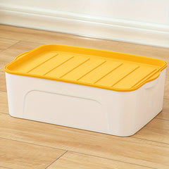 Plastic Storage Box with Lid Large Capacity