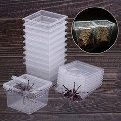 Reptile Breeding Box for Pet Spider Larvae