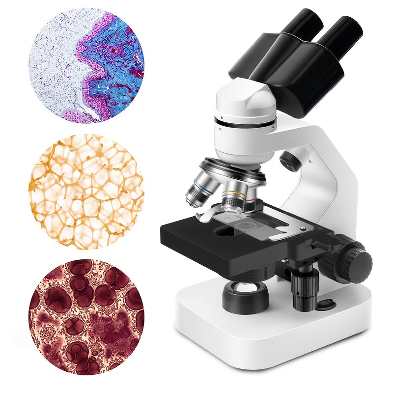 Binocular Compound Microscope 40X 2000X with Dual Mechanical Stages