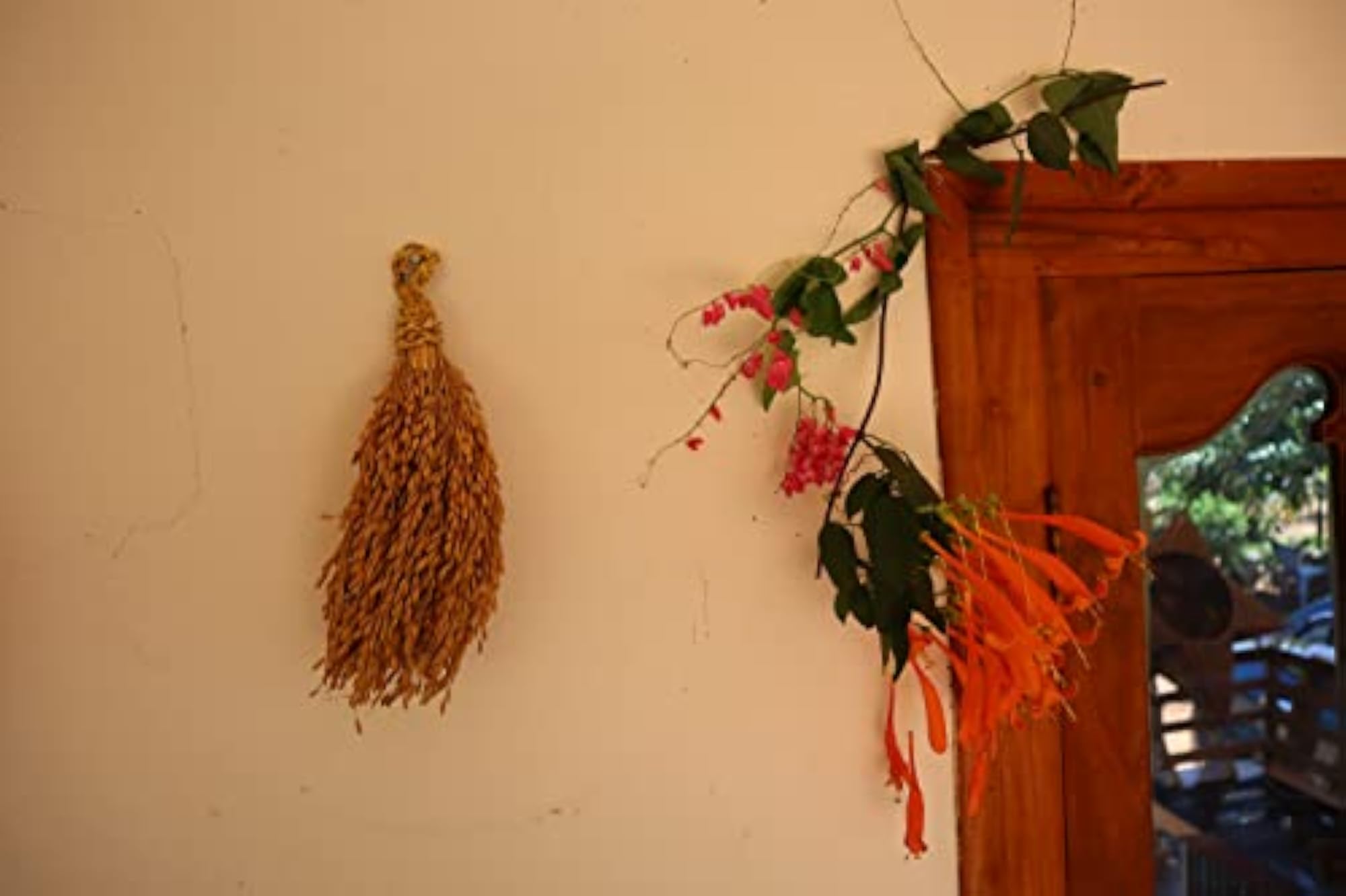 img_8466258