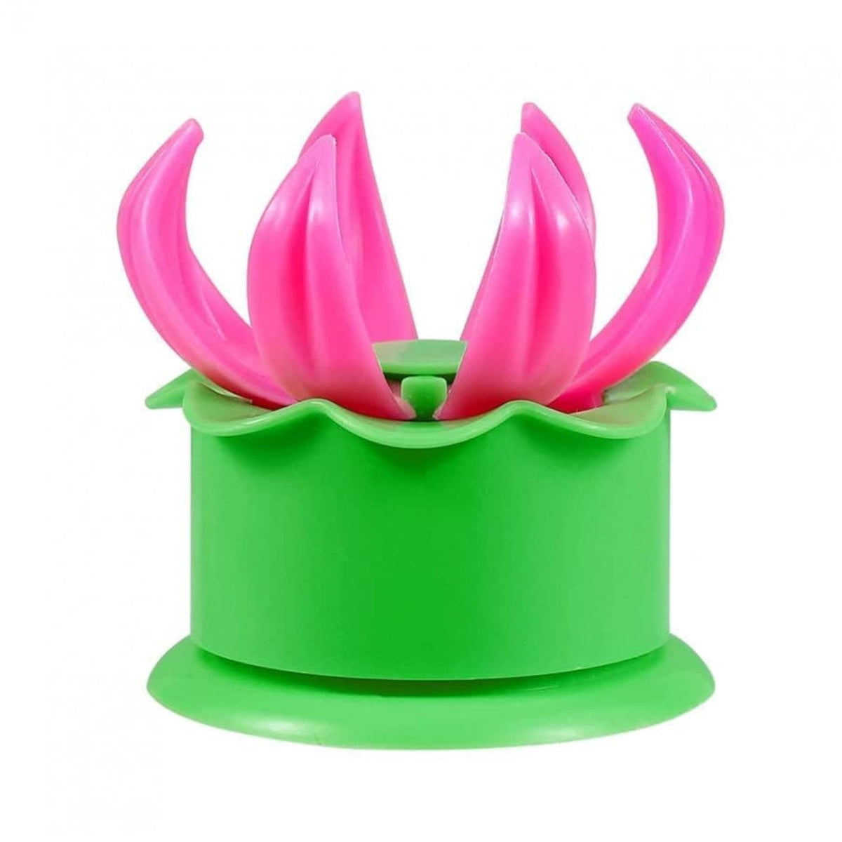 img_20036292