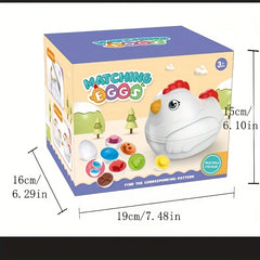 Smart Eggs Early Education Shape Cognition Twisted Eggs