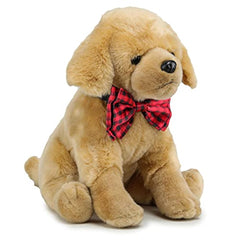 img_15975987