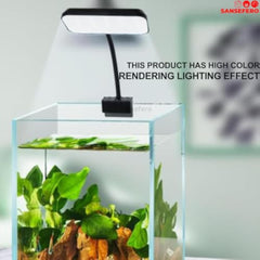 img_11769823