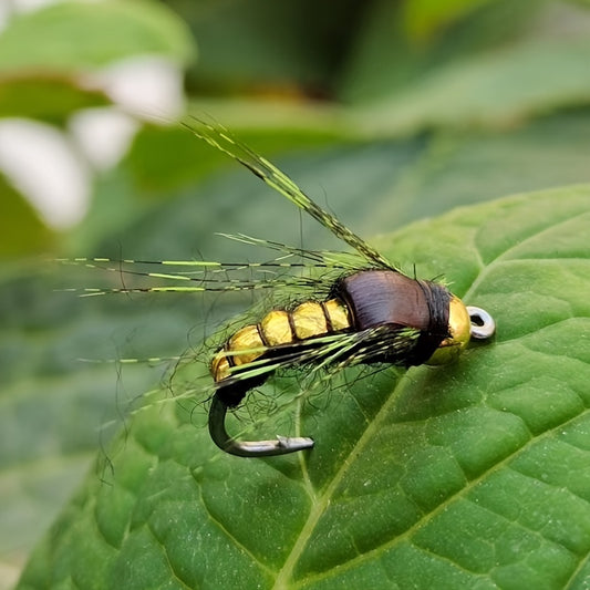 8pcs Fast Sinking Fly Fishing Nymph Bait Trout Insect Lure Micro Accessories