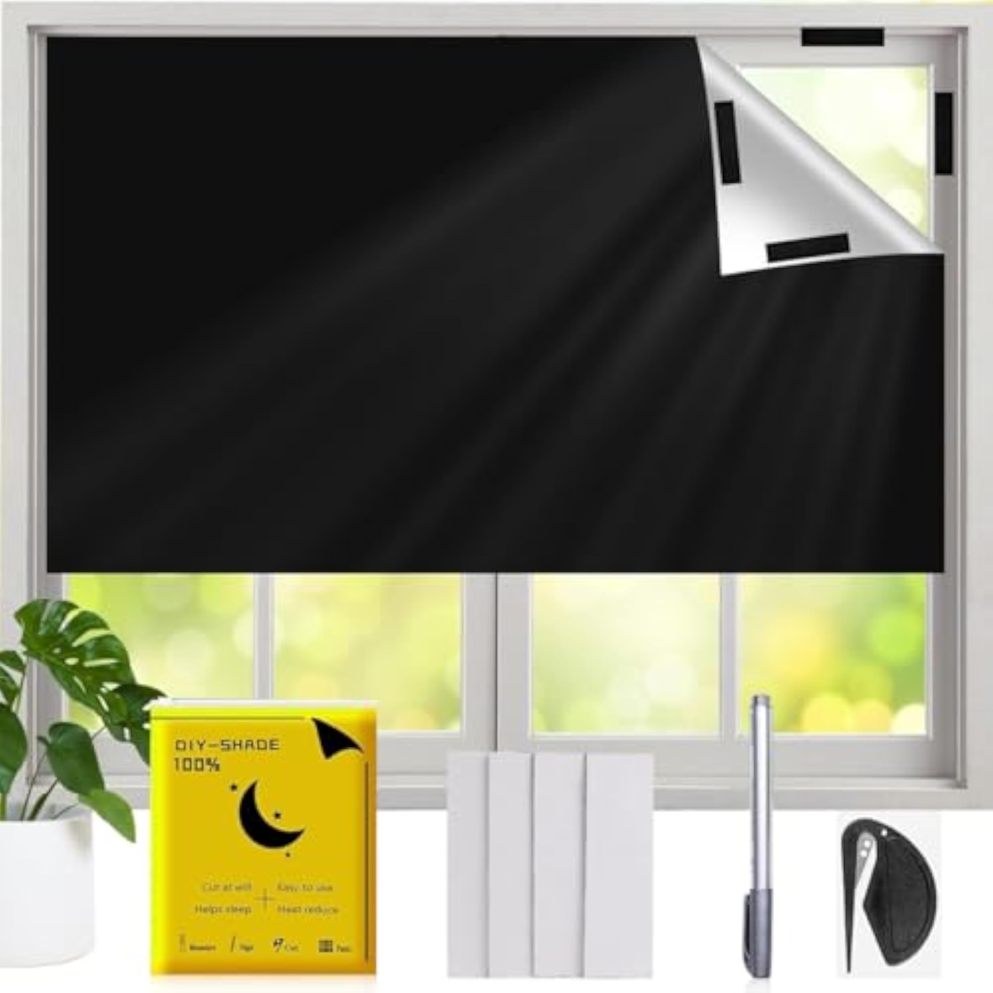 img_10180248