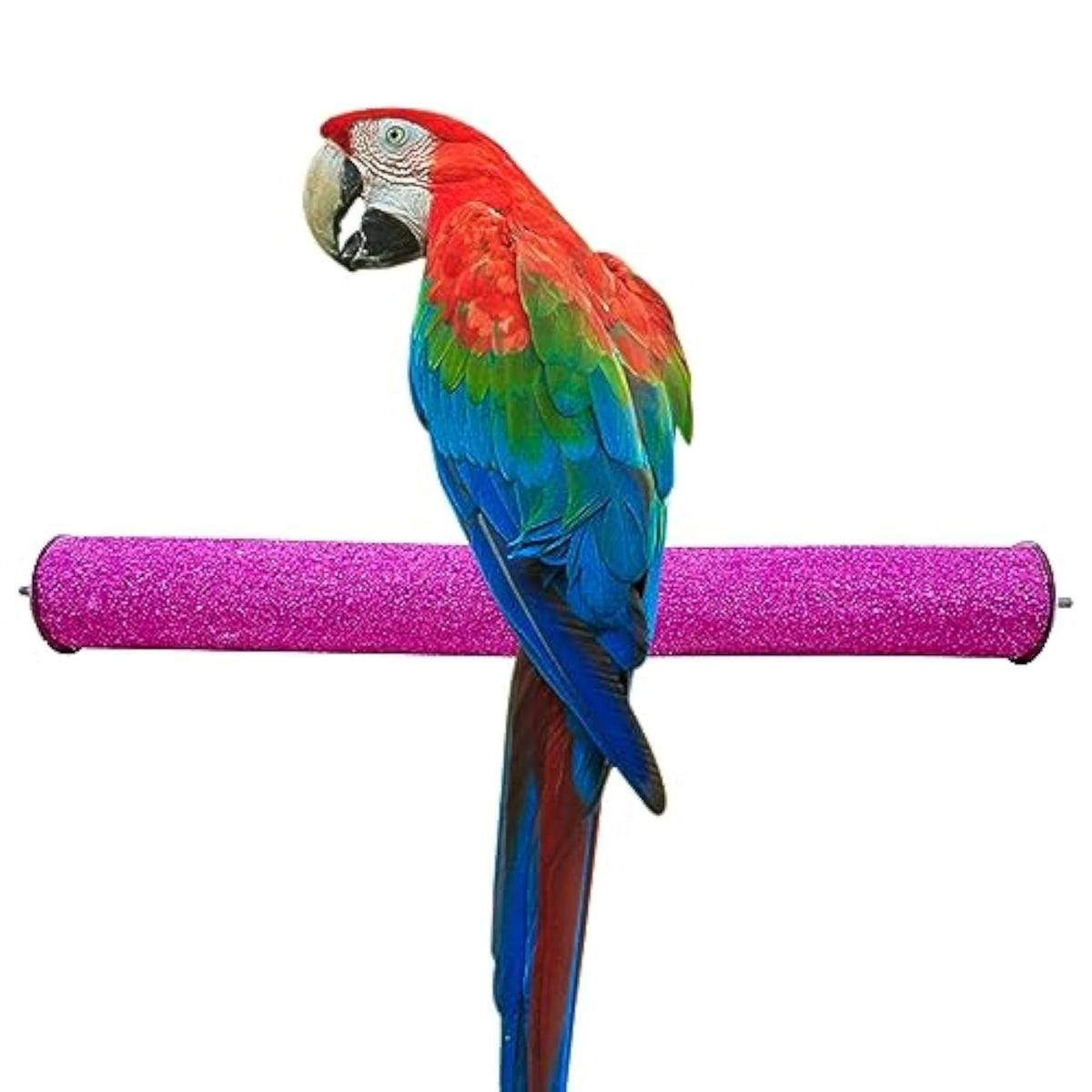 img_15990728