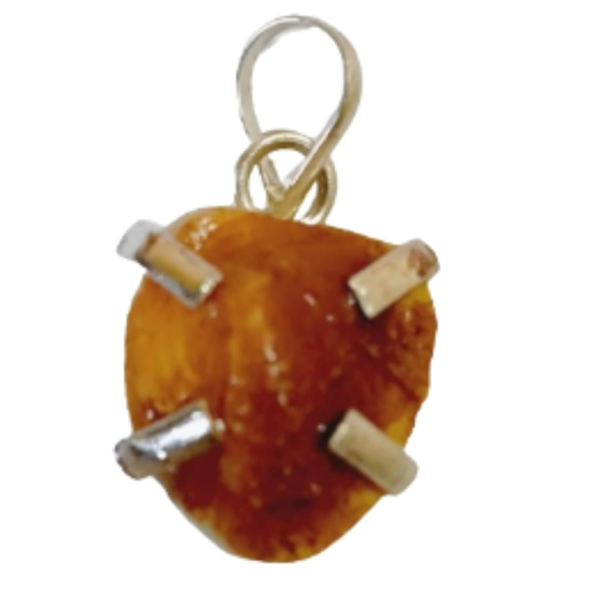 img_18557727