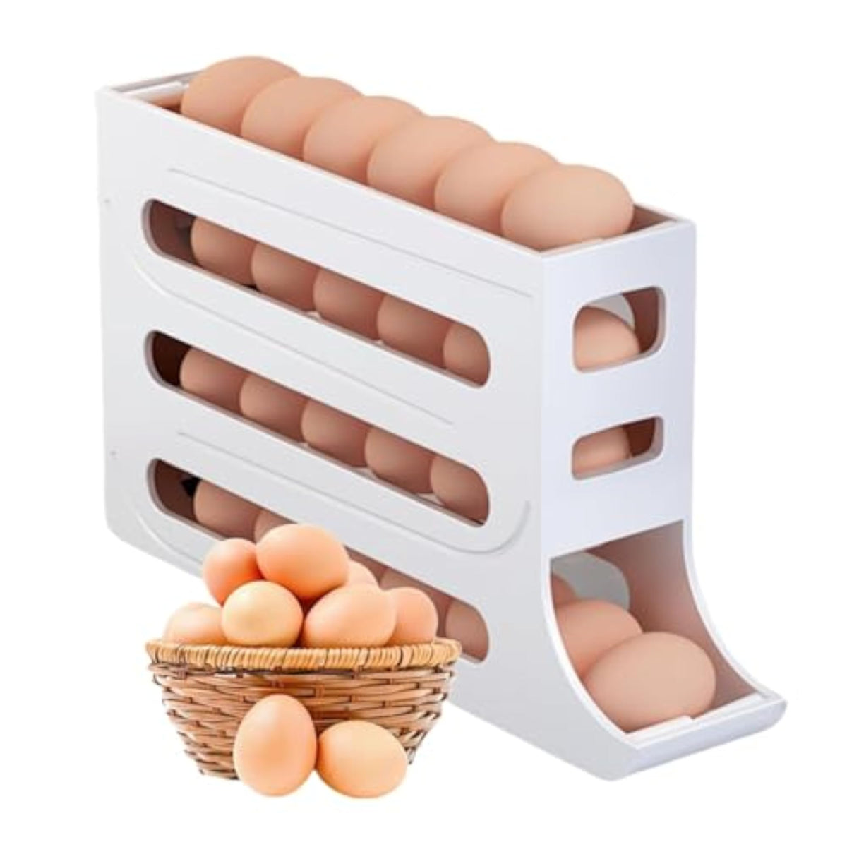 img_8451191