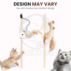 img_11788174