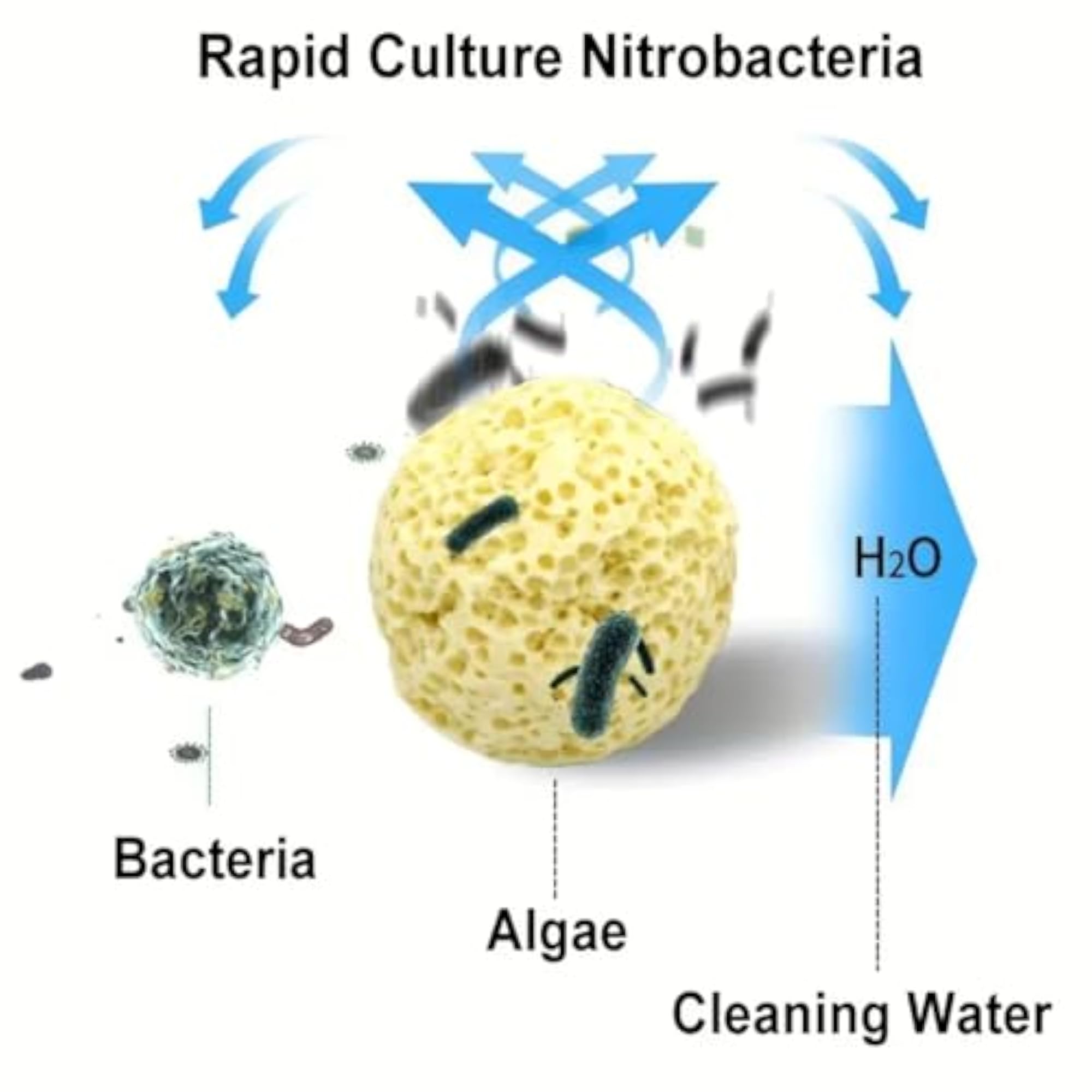 img_11788203