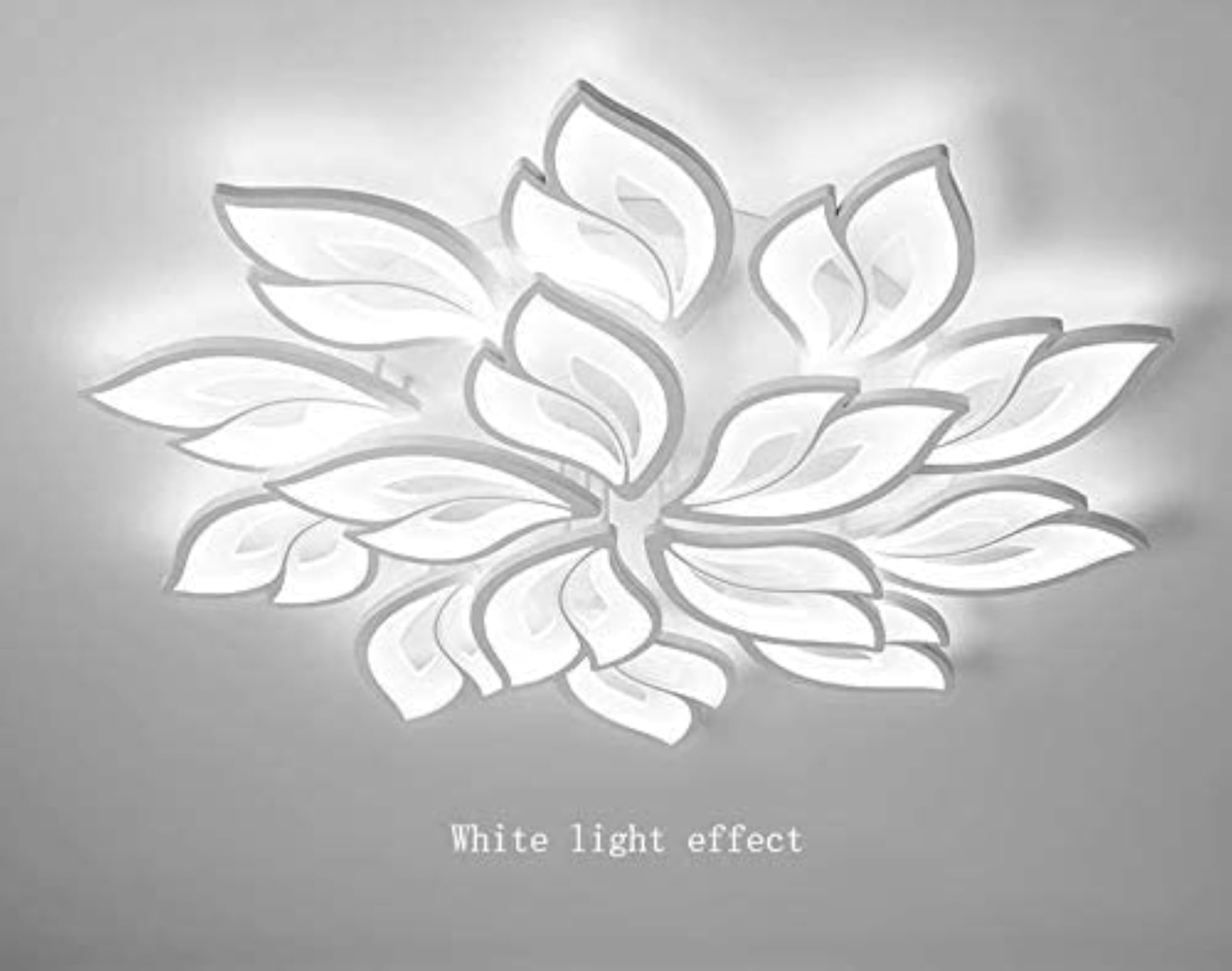 img_8377375