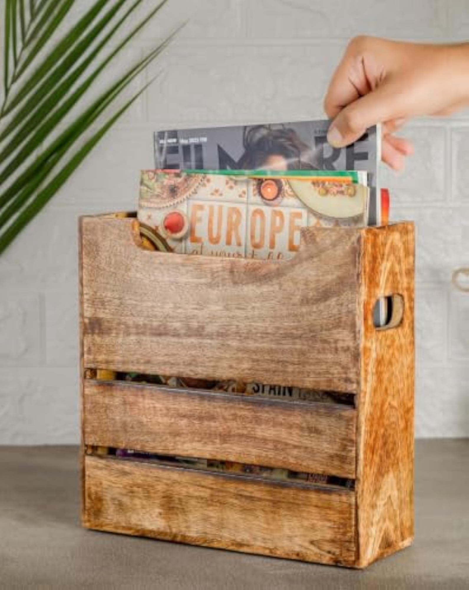 img_8368894
