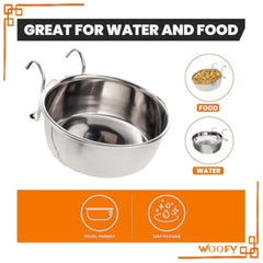 img_10196251