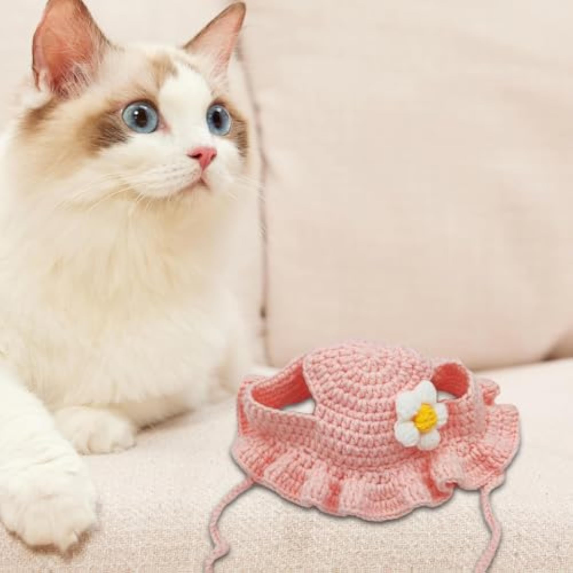img_11778718