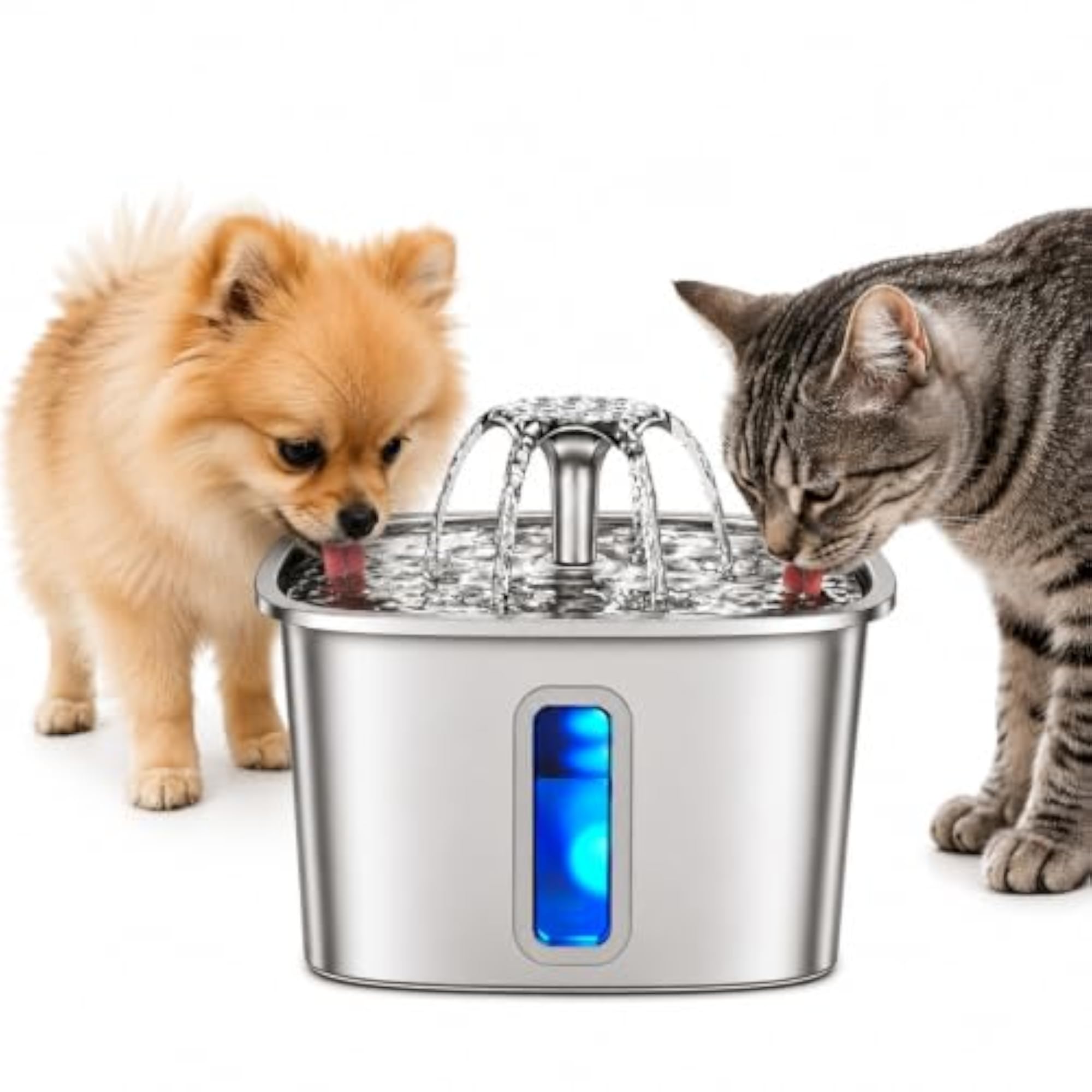 img_16020682