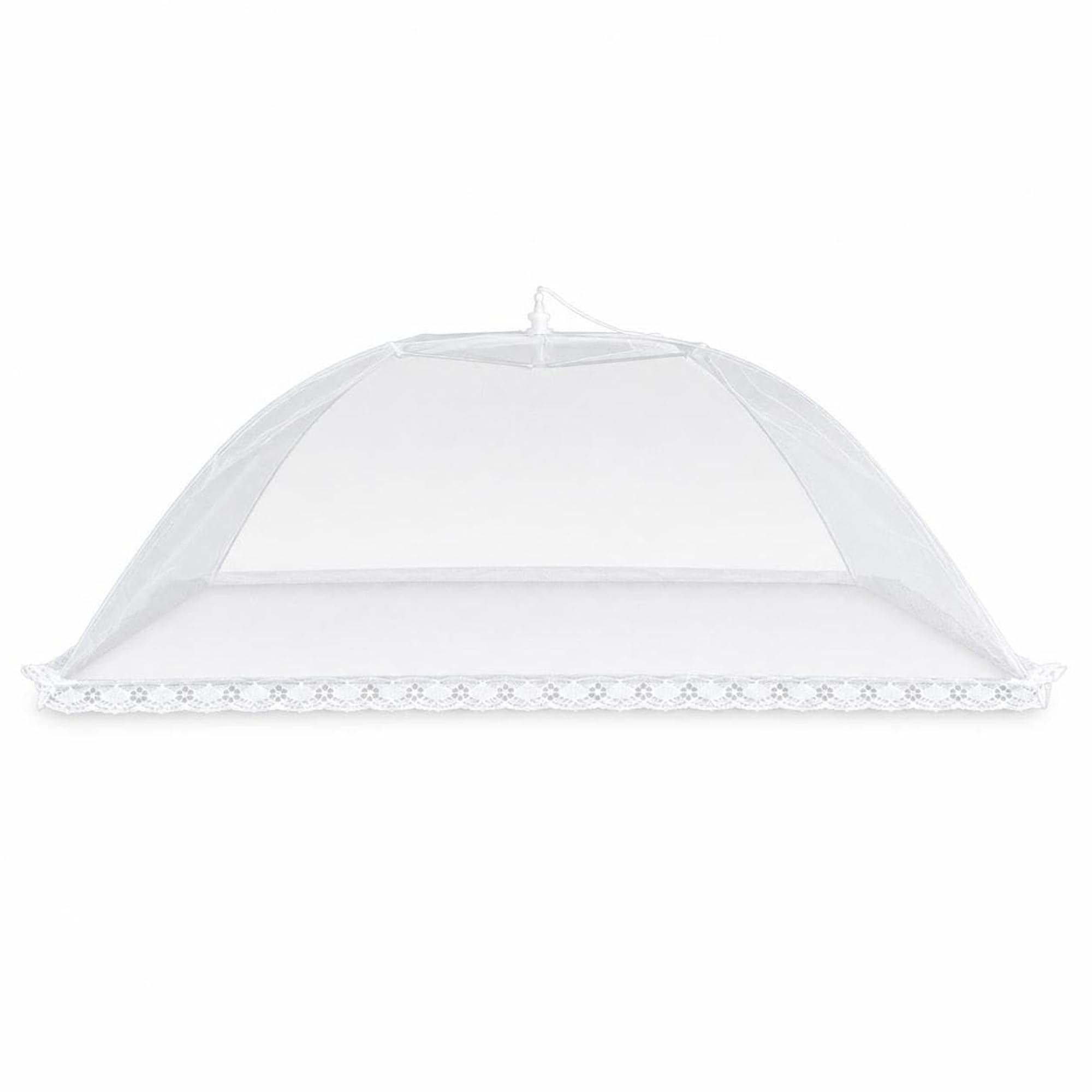img_21542485