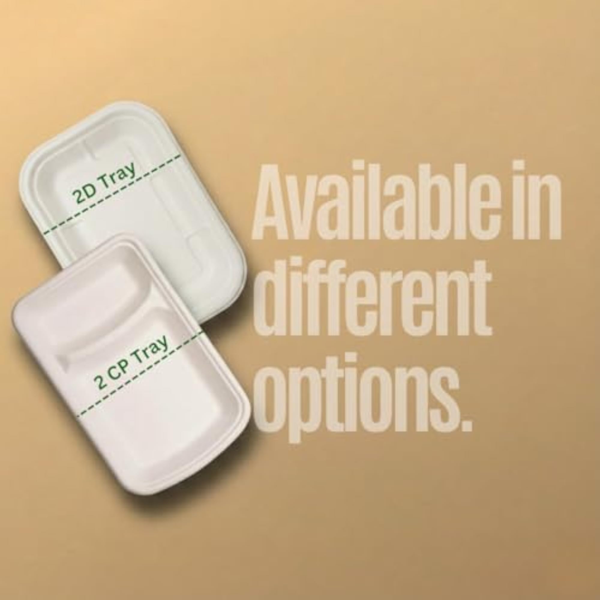 img_11945254