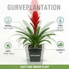 img_8184325