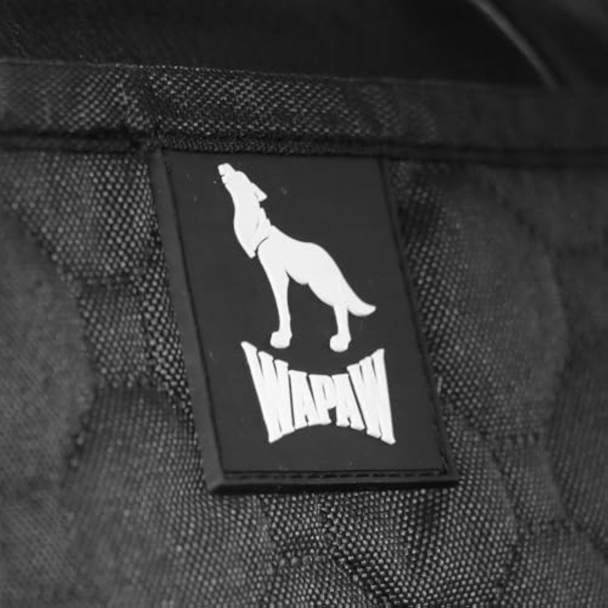 img_11776795