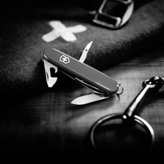 img_10101374