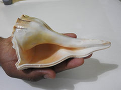img_8375010