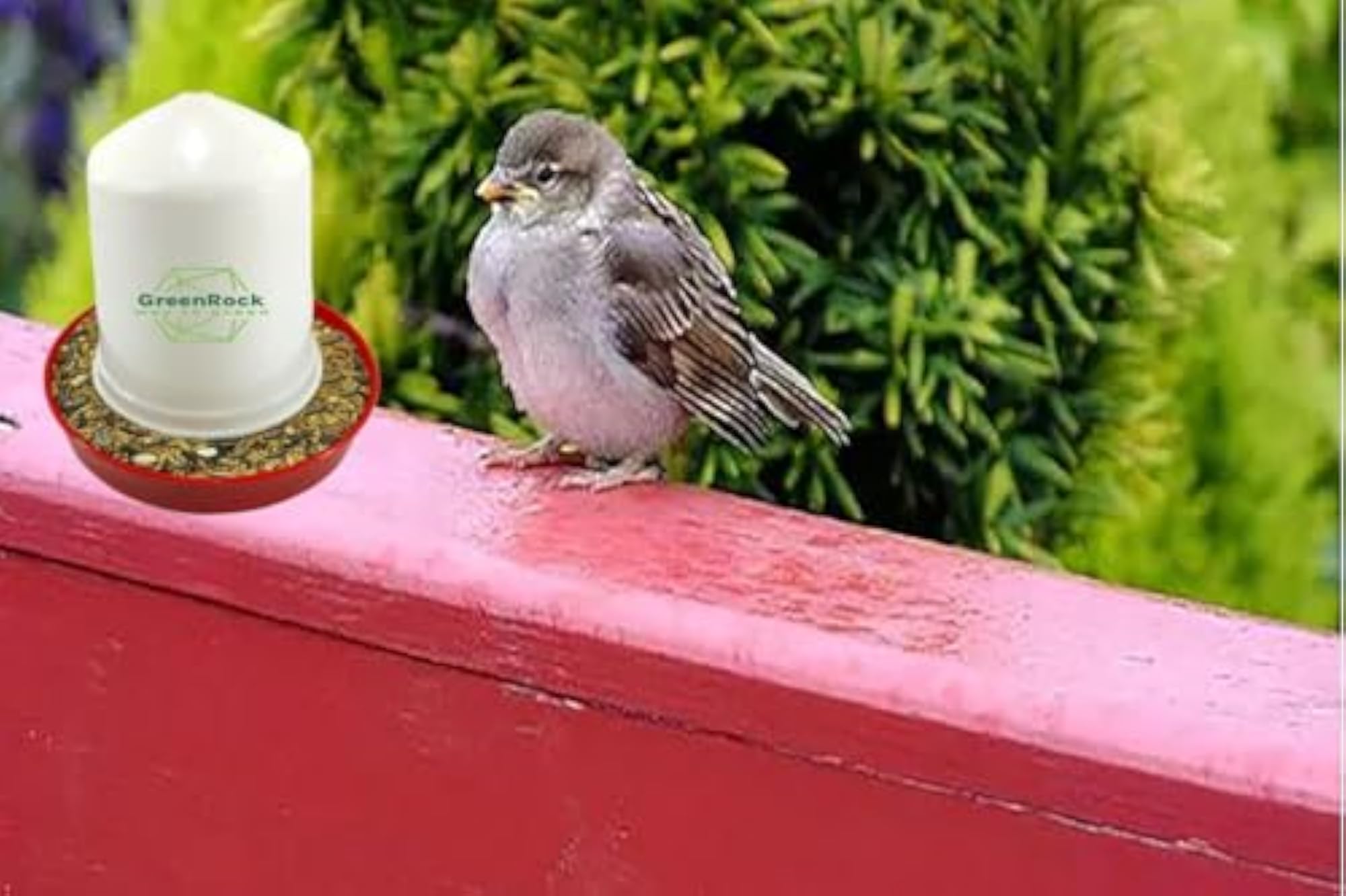 img_10200149