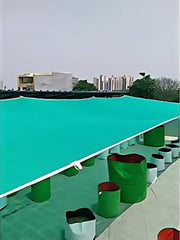 img_11760138