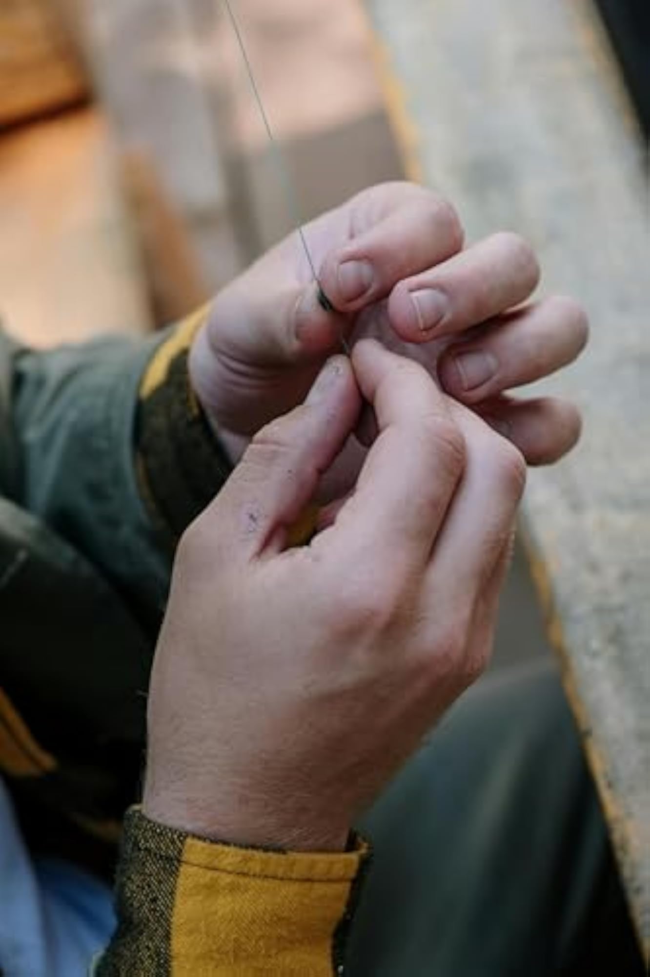 img_10042515