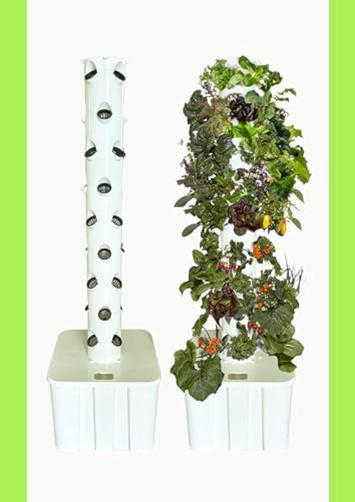 img_15902651