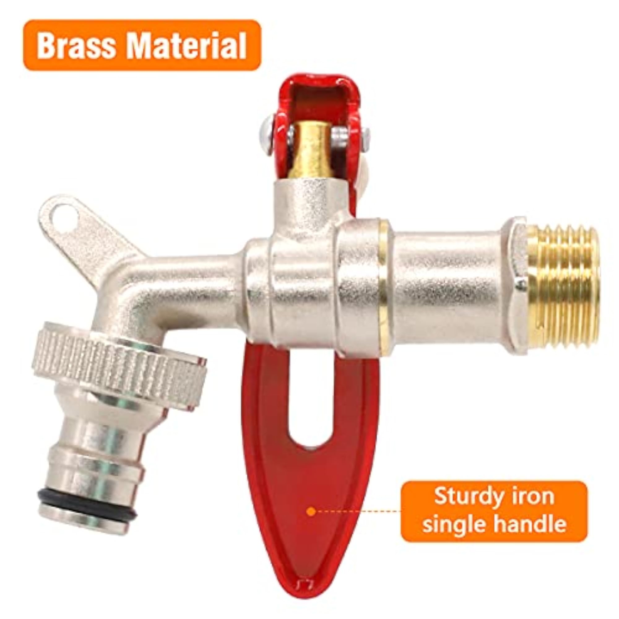 img_15884281