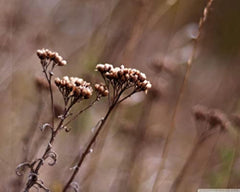 img_8464357