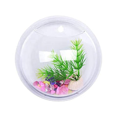 img_15976234