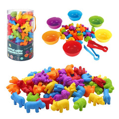 Rainbow Matching Game Animal Cognition Montessori Toy