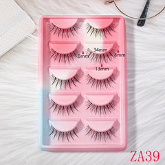 5 Pairs Natural False Eyelashes