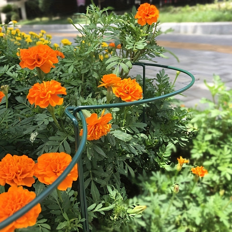 Iron Flower Stand for Climbing Vines