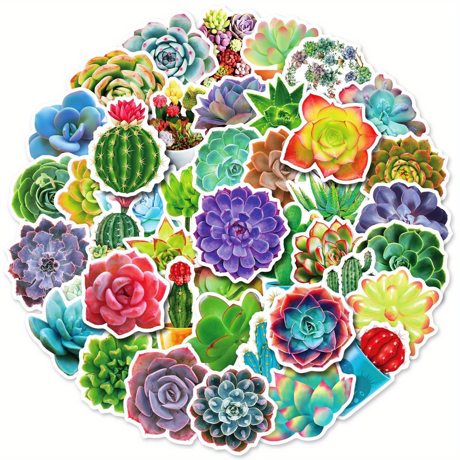 50pcs Waterproof Succulent Stickers Water Bottle Laptop Skateboard Scrapbook