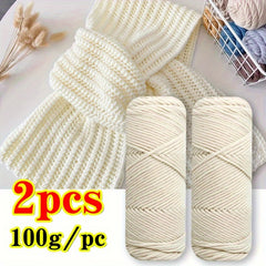 2pcs 100g Acrylic Yarn for Crocheting & Knitting