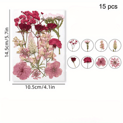 DIY Pressed Flowers Kit - Create Unique Crafts with 19pcs Dried Flowers