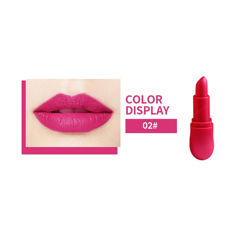 Long Lasting Matte Lipstick with Non Stick Cup Waterproof Lipstick