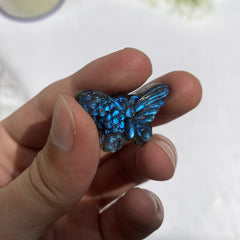 img_5685219