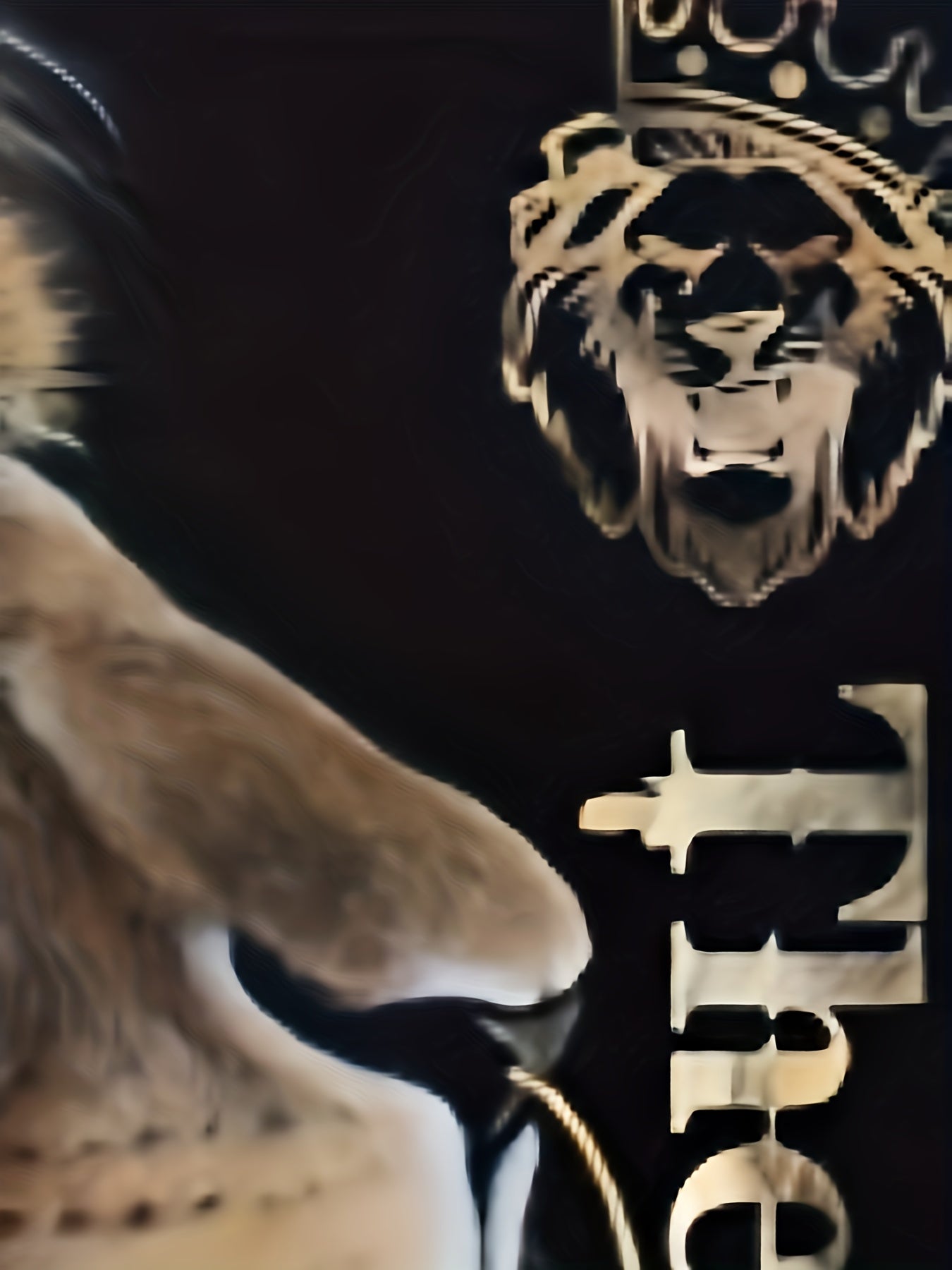 3D Print Lion Hoodie Comfy Loose Hooded Pullover Men's Clothing