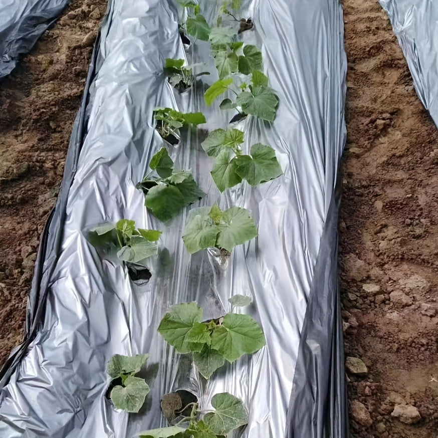 Embossed Plastic Film Garden Weed Barrier 33x3 Feet