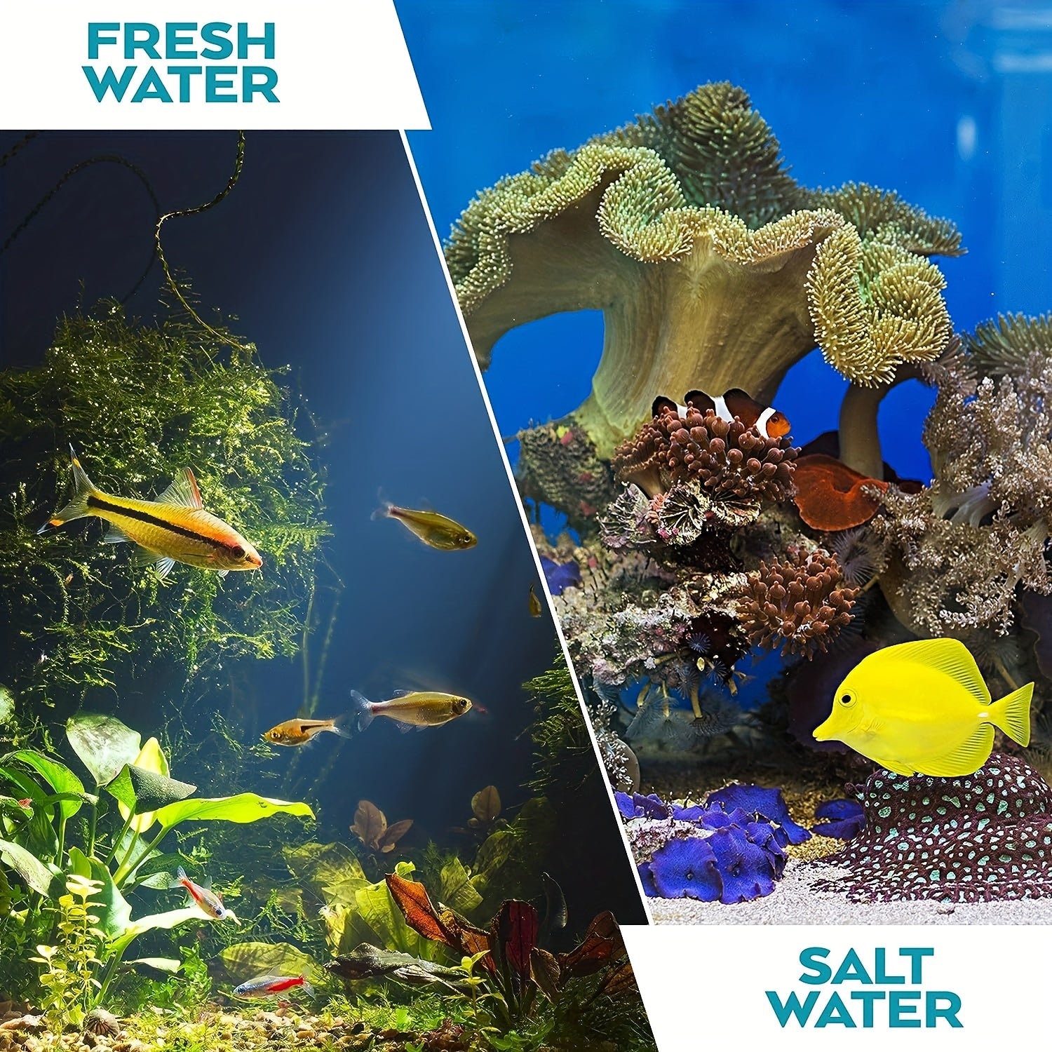 Aquarium Gravel Vacuum Cleaner Aquarium Siphon