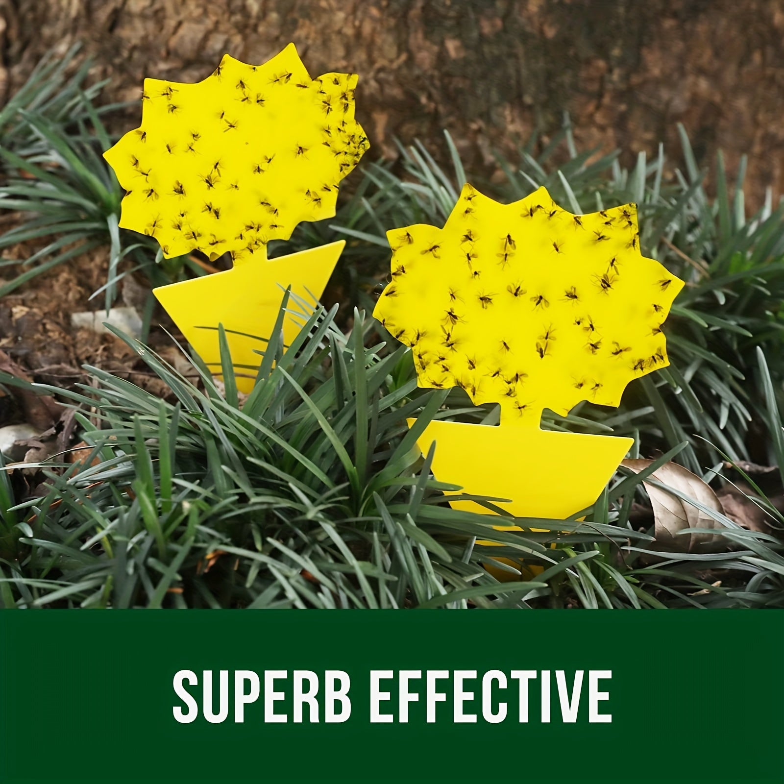 5pcs Fruit Fly Sticky Trap Indoor Outdoor Fungus Gnat Killer