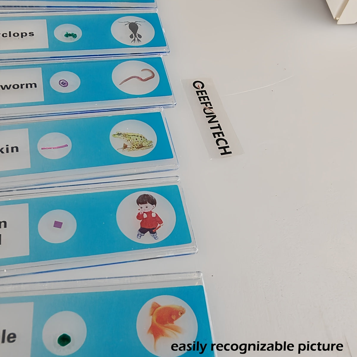 Microscope Slides 48pcs 4 Colors Sample Microbiological Biology Microscope Slice