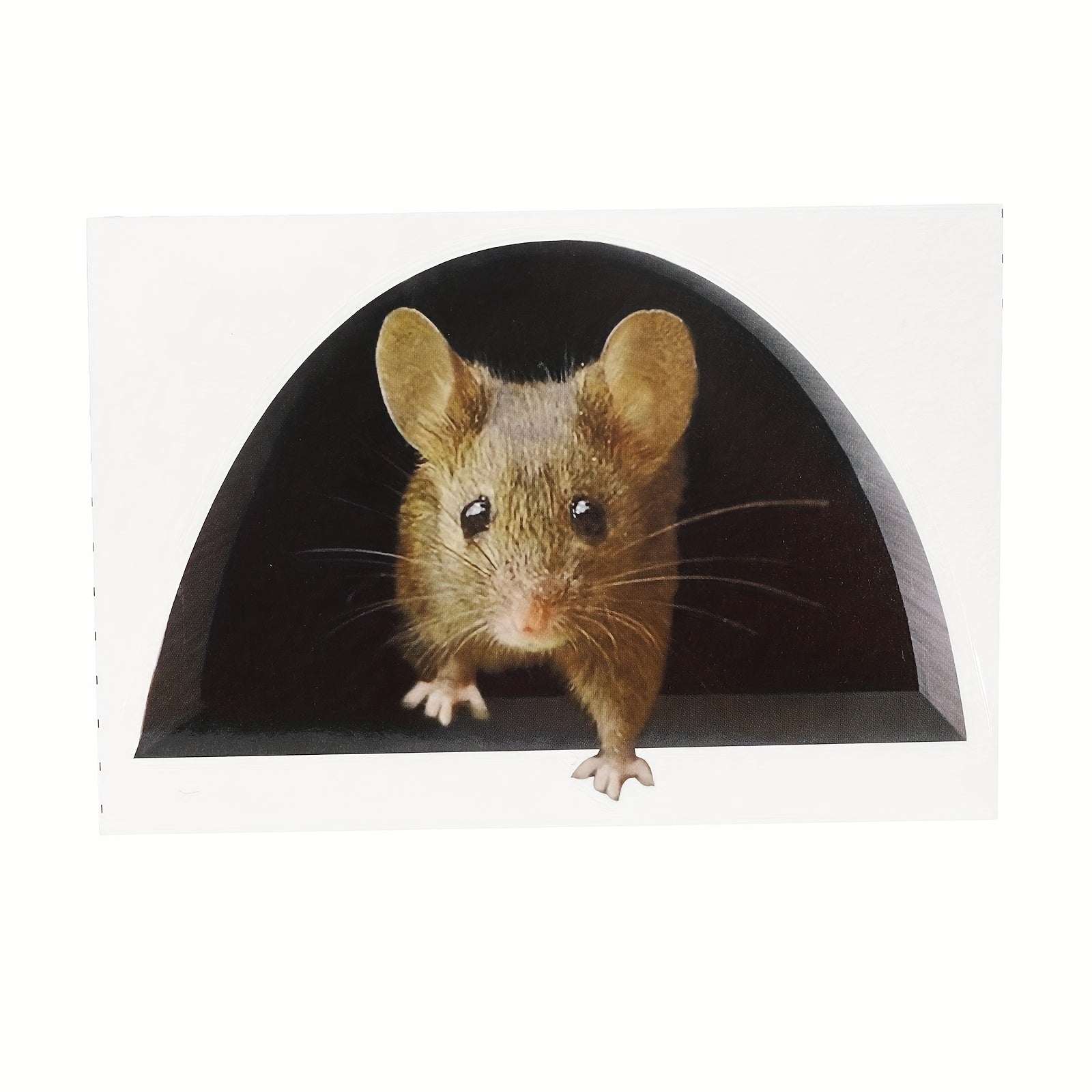 Realistic 3D Mouse Wall Decal - Fun and Unique Home Decor
